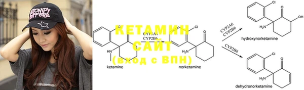 стаф Богородицк