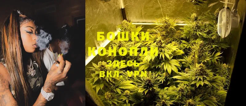 Марихуана OG Kush  как найти   Петушки 